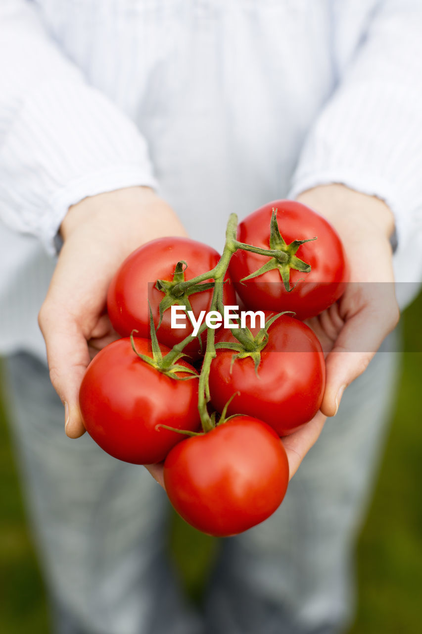 Midsection of woman holding tomatoes