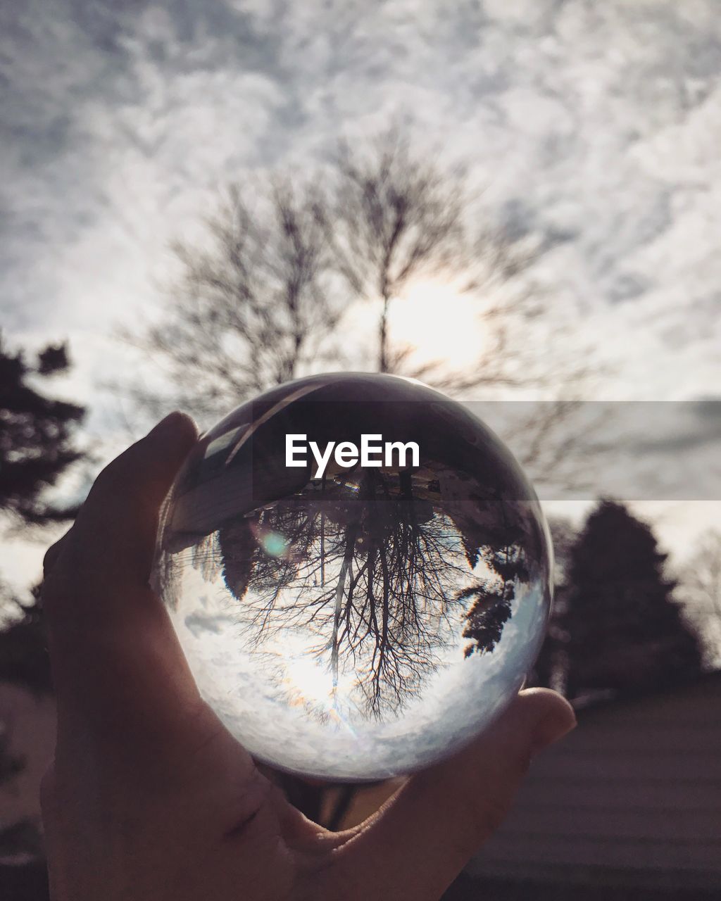 Cropped hand of person holding crystal ball against bare trees during winter