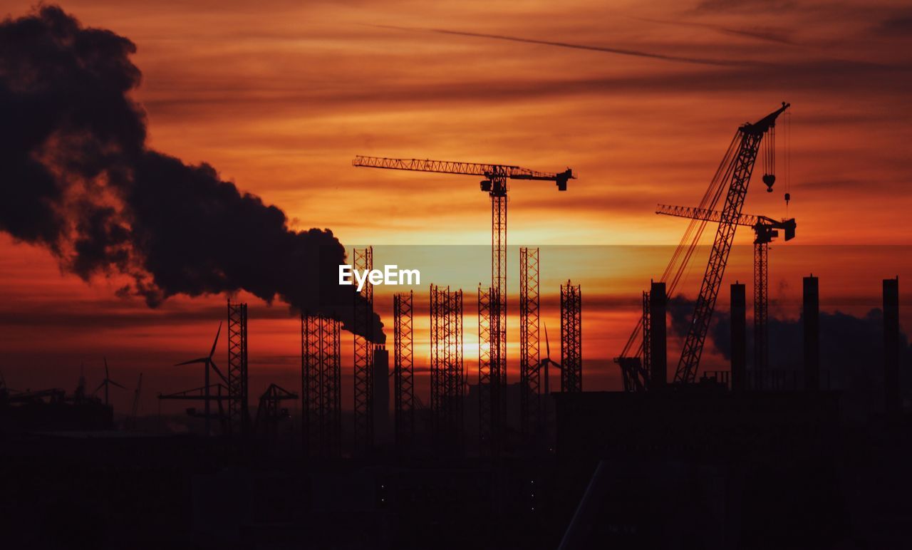 Silhouette of cranes at sunset