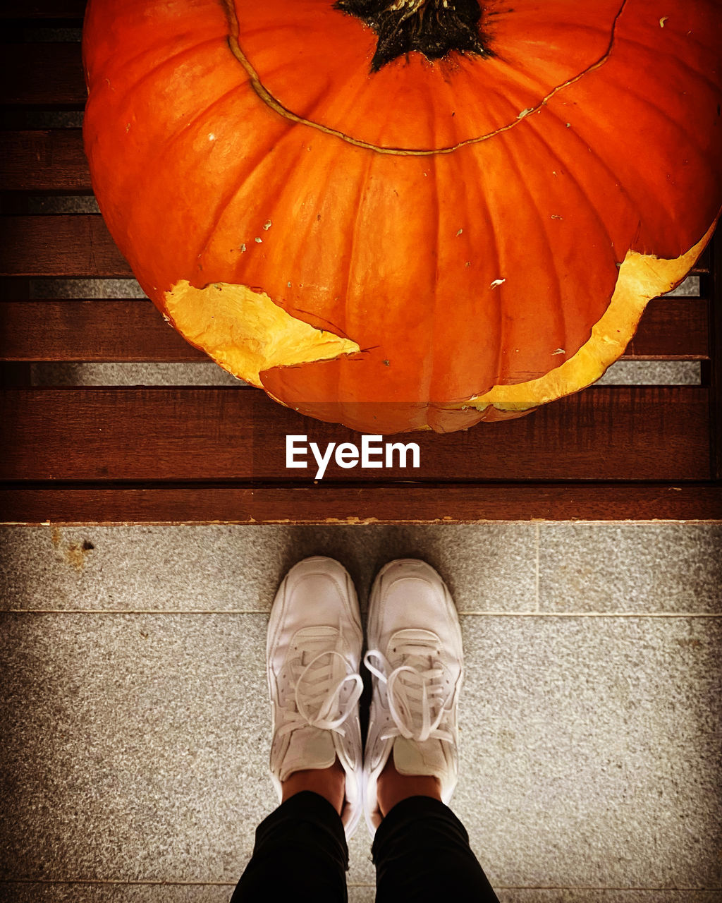 LOW SECTION OF MAN STANDING BY PUMPKINS