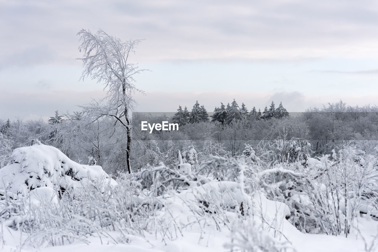 SCENIC VIEW OF SNOW COVERED LAND AGAINST SKY