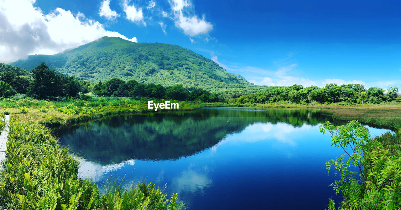 Landscape scene of niseko in summer 