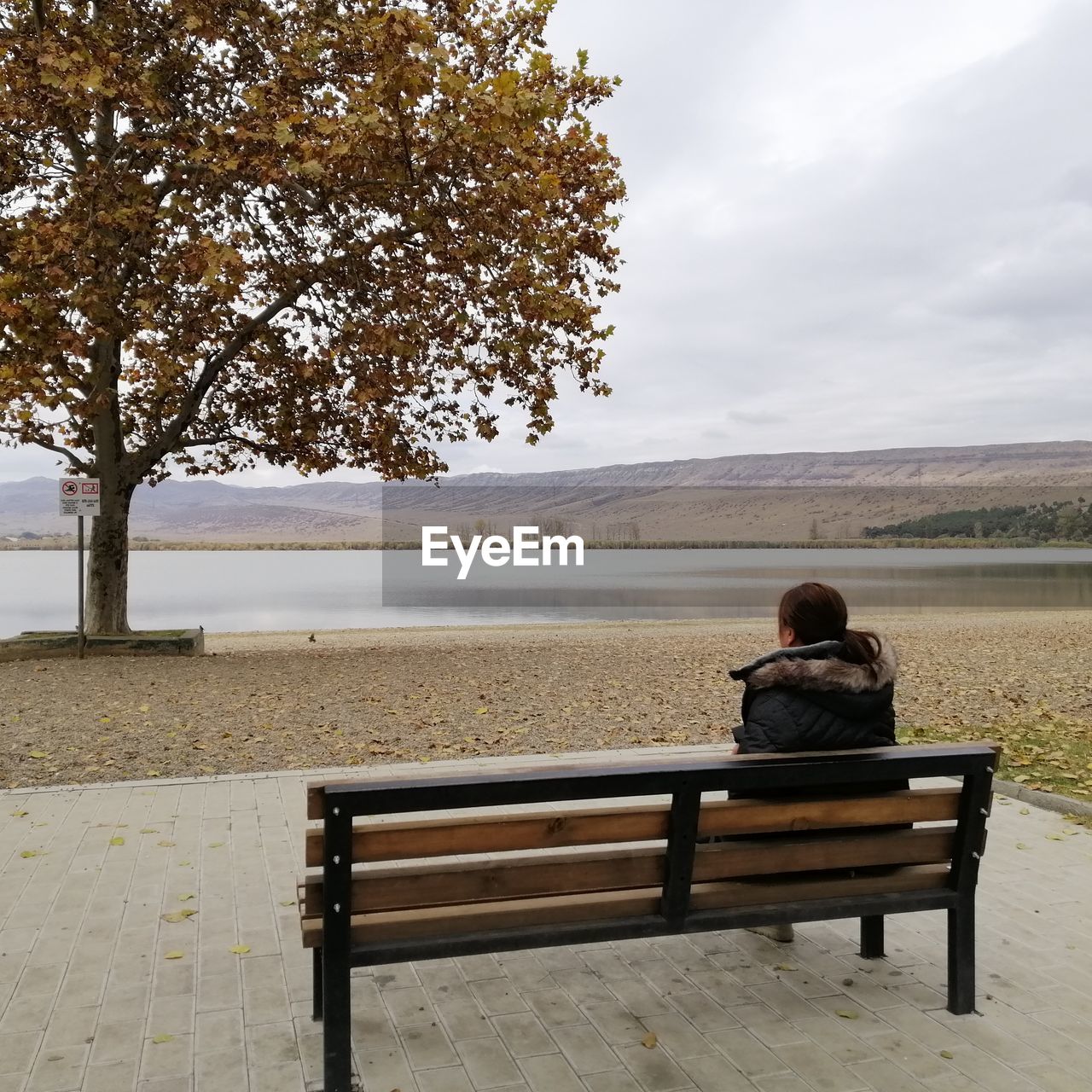 Rear view of woman sitting on bench against lake