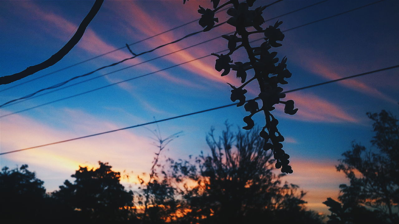 Low angle view of silhouette trees against sky at sunset