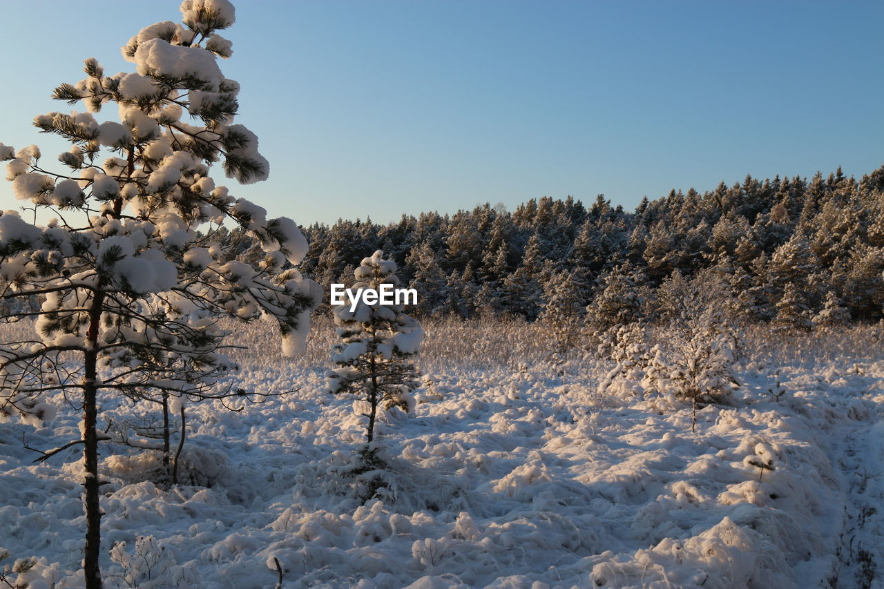 Snow covered landscape against clear sky