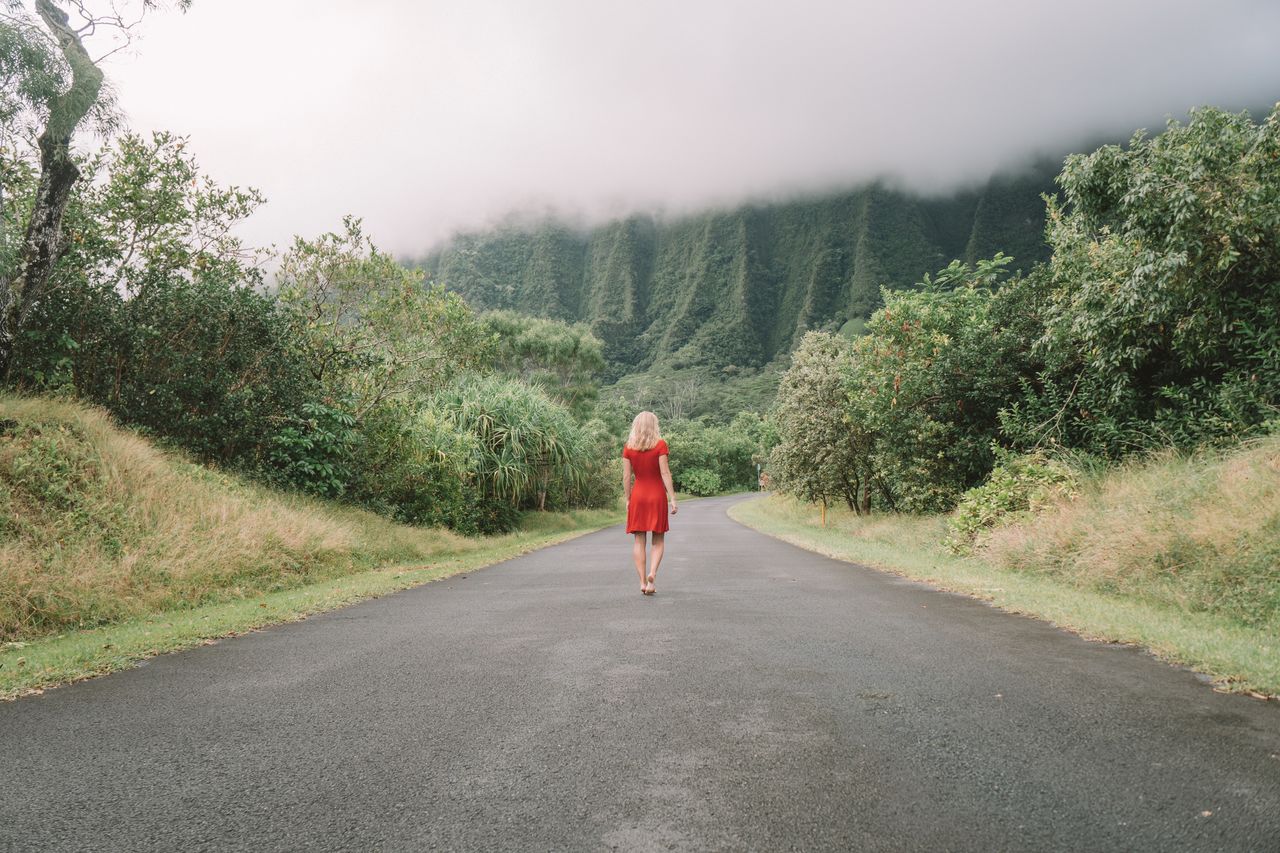 Rear view of mid adult woman in red dress walking on road amidst trees against cloudy sky