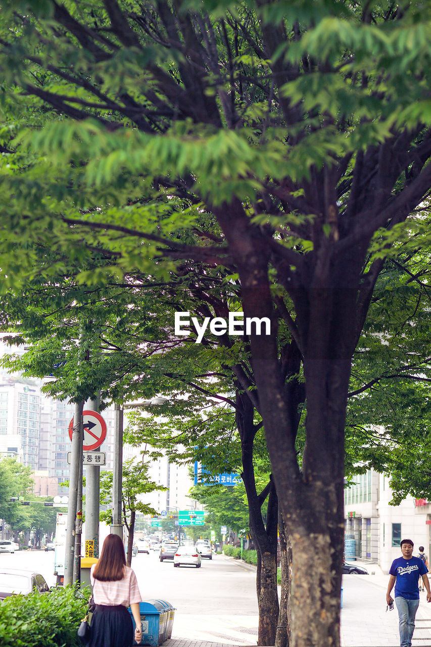 WOMAN WITH TREES IN CITY