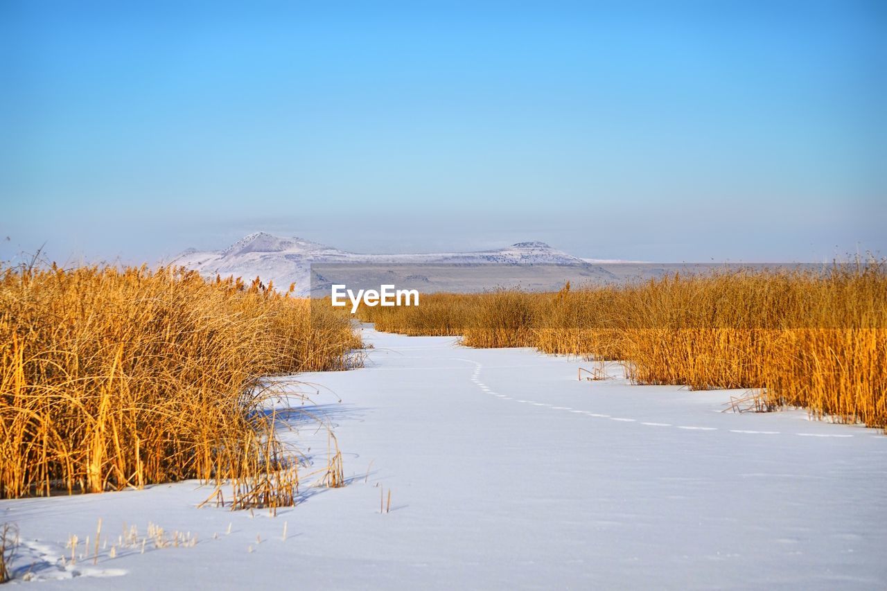 Scenic view of frozen field against sky during winter