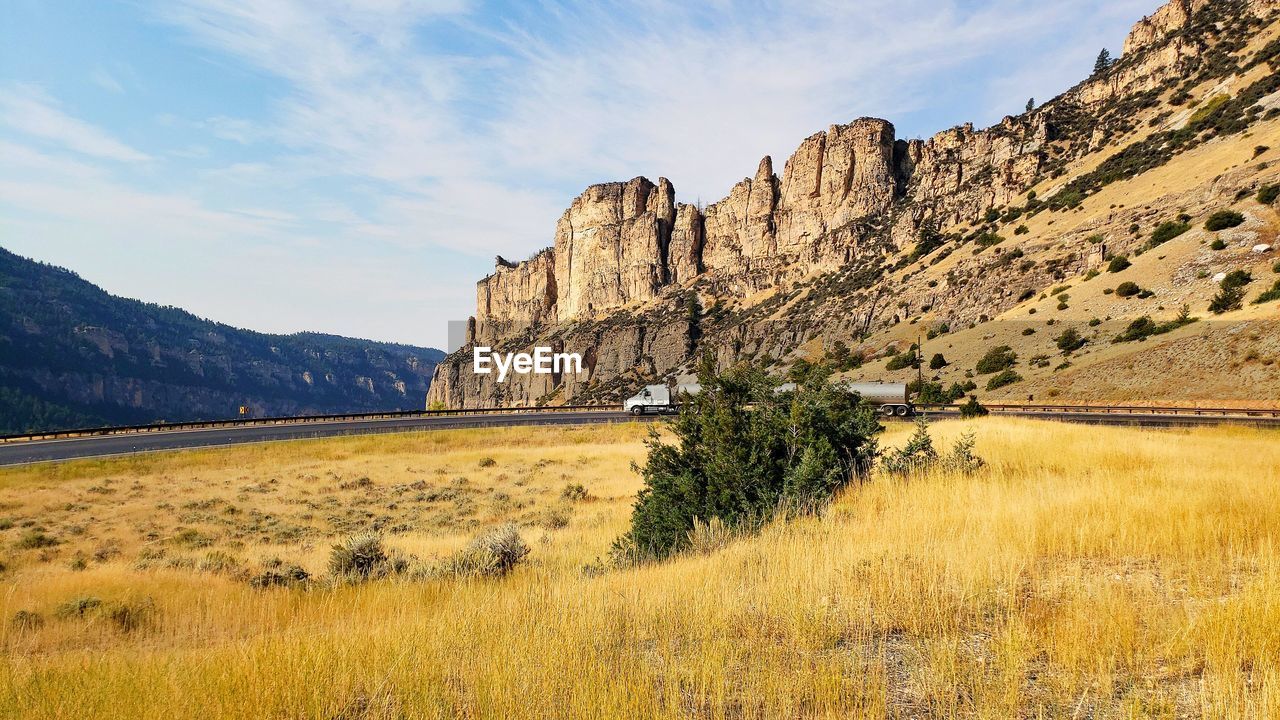 PLANTS GROWING ON LAND