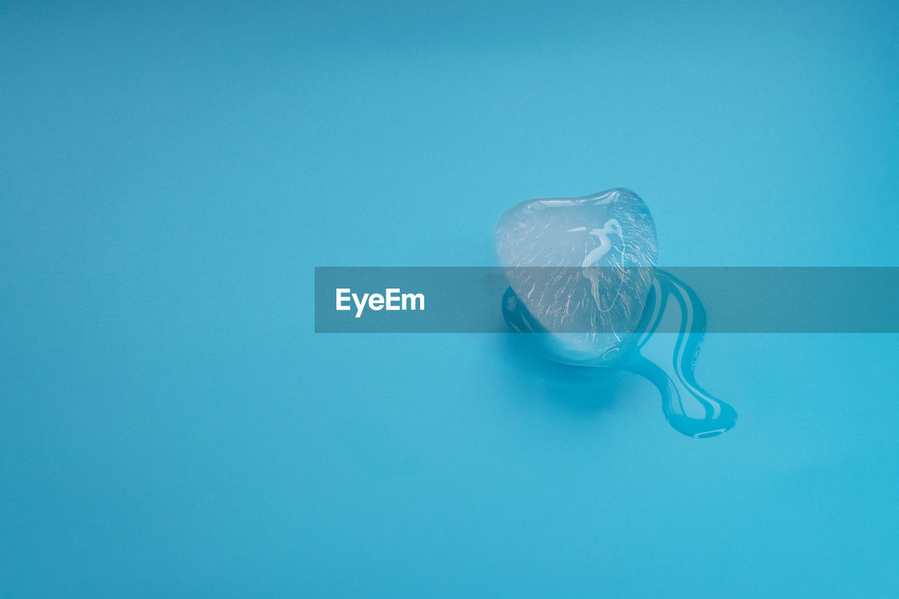 CLOSE-UP OF JELLYFISH SWIMMING UNDERWATER