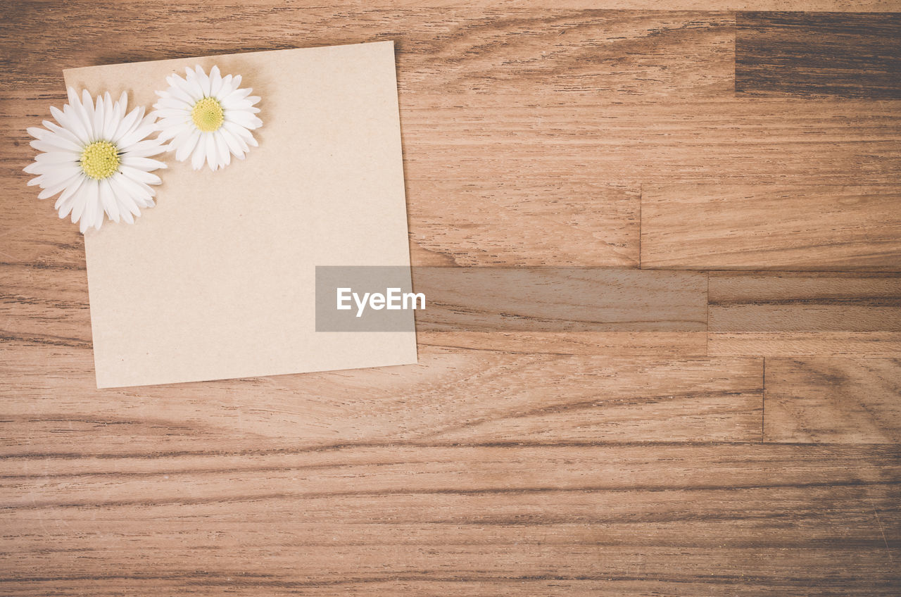 Directly above shot of daisy flowers with paper on hardwood floor