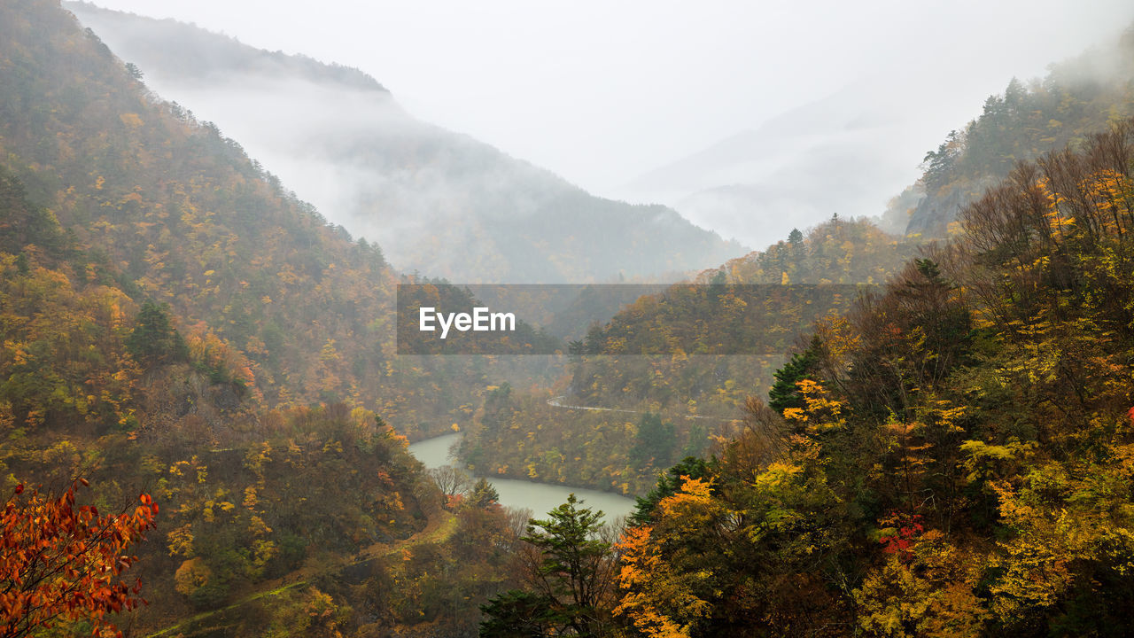 Autumn forest landscape with view of mountain misty valley and river in japan