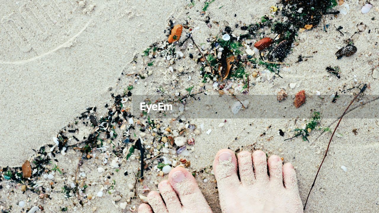 Low section of person standing on dirty shore at beach