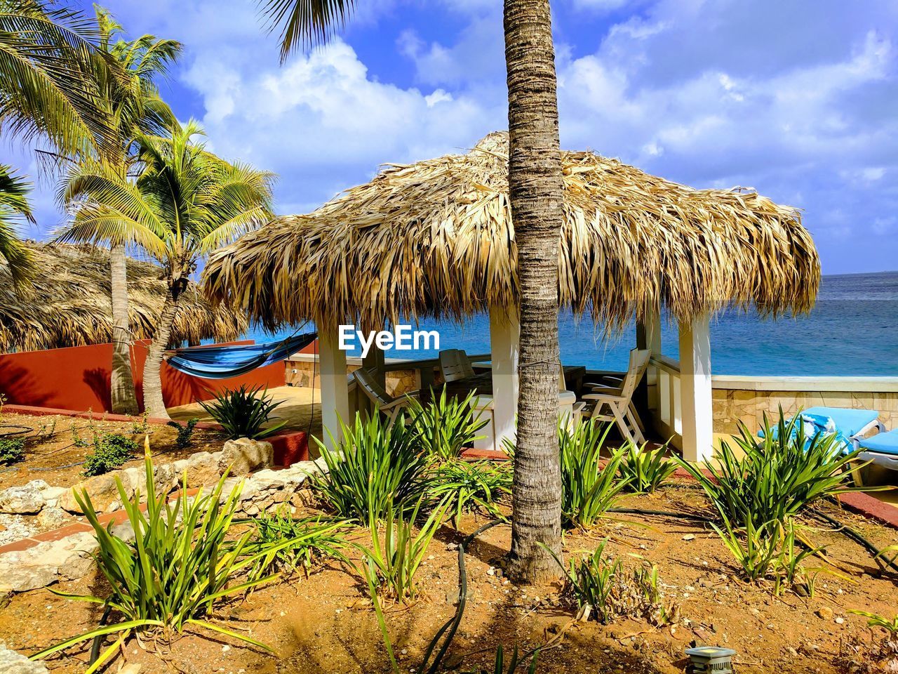 Palm trees on beach against sky