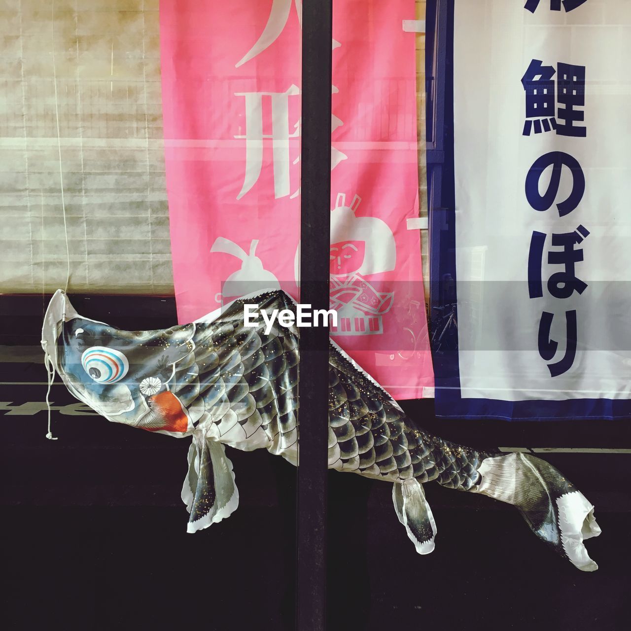 CLOSE-UP OF HORSE HANGING AGAINST WINDOW