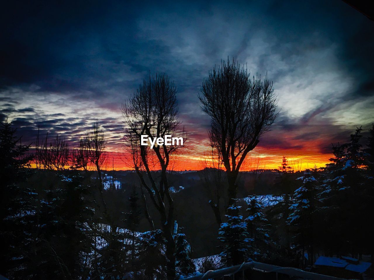 SILHOUETTE TREES AGAINST SKY AT SUNSET