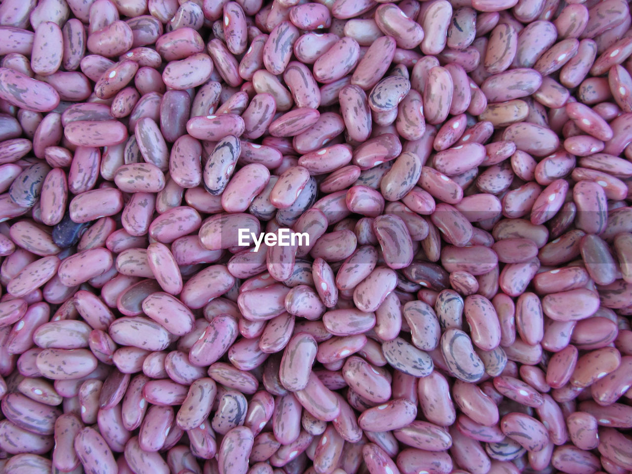 Full frame shot of kidney beans