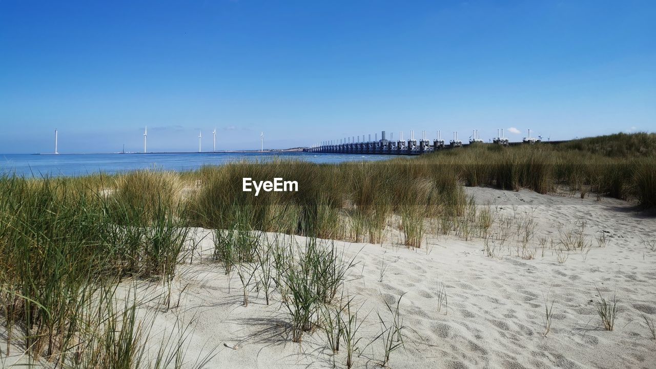 SCENIC VIEW OF BEACH AGAINST CLEAR SKY