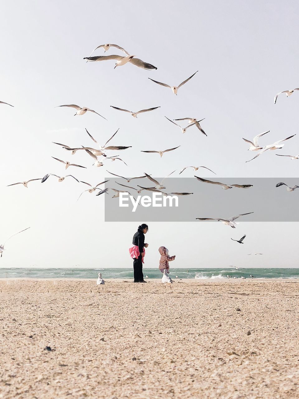 PEOPLE AT BEACH AGAINST CLEAR SKY