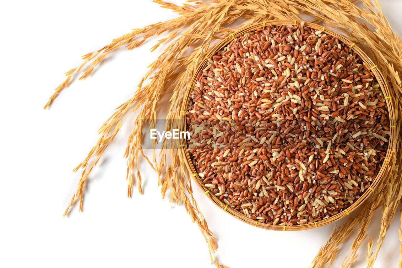 food and drink, food, cereal plant, whole grain, agriculture, crop, food grain, seed, wheat, plant, healthy eating, cereal, white background, wellbeing, produce, barley, freshness, rye, organic, emmer, dry, nature, no people, whole wheat, cut out, close-up, raw food, oats - food, triticale, studio shot, brown, ingredient, harvesting, indoors, gold, still life