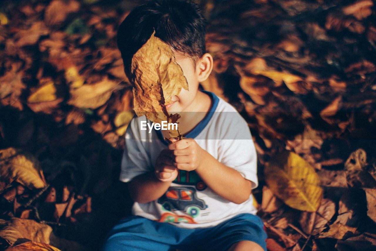 Boy holding leaf while sitting on land
