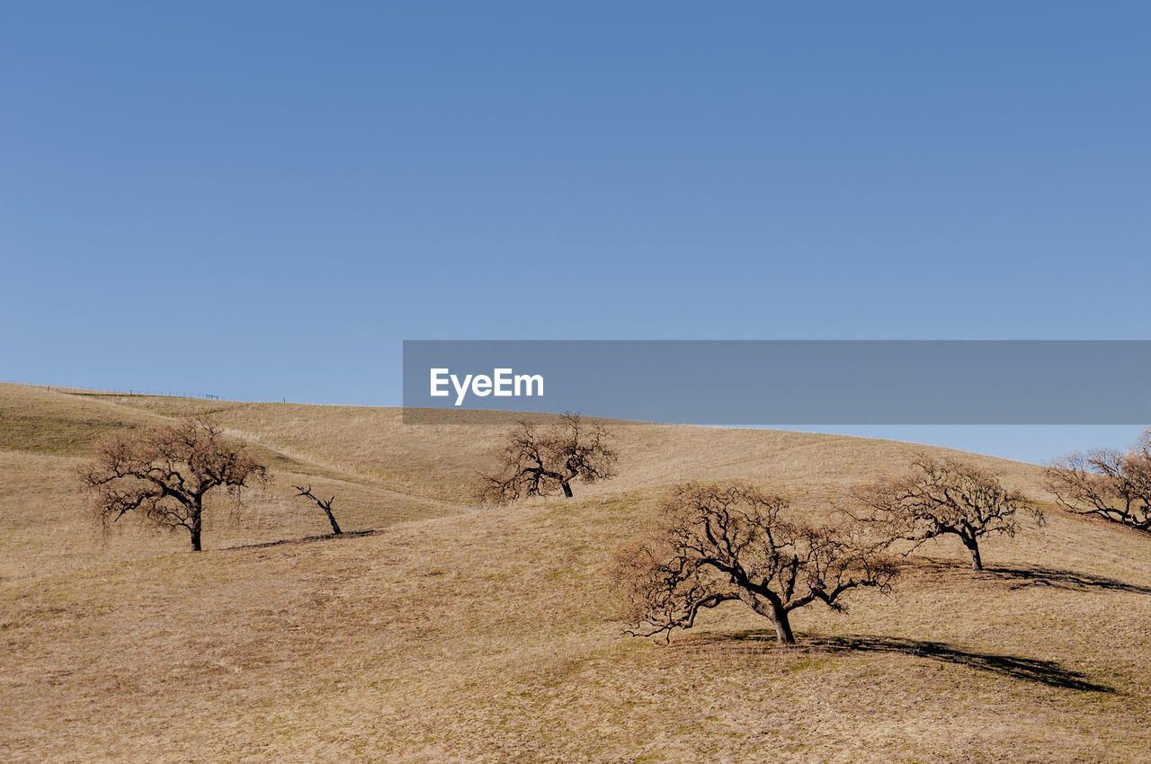 Scenic view of desert against clear blue sky