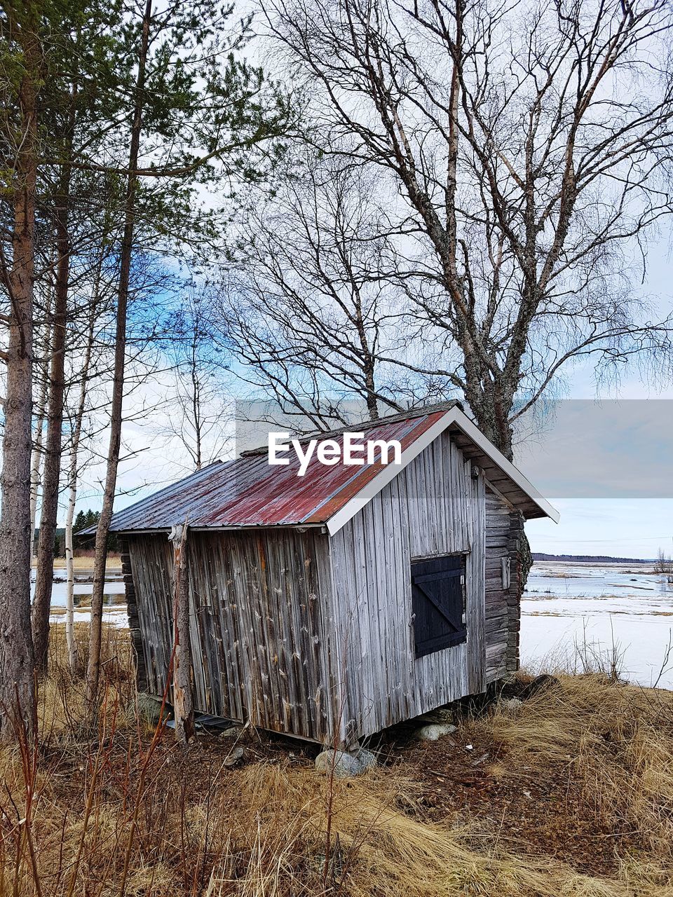 BARE TREE IN FRONT OF ABANDONED HOUSE