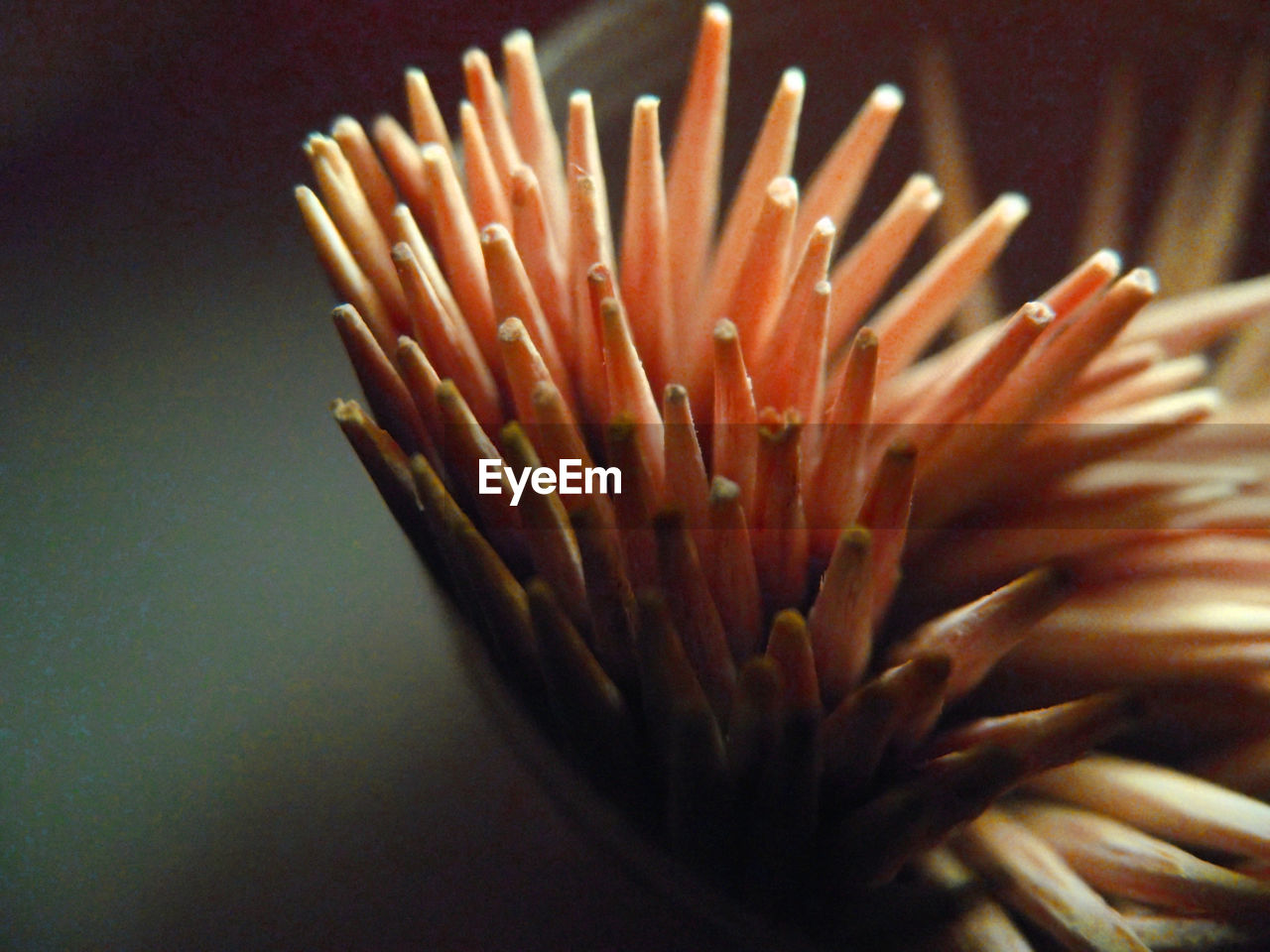 High angle view of toothpicks on table