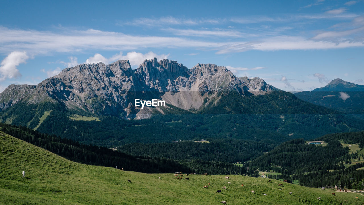 Scenic view of landscape and mountains against sky