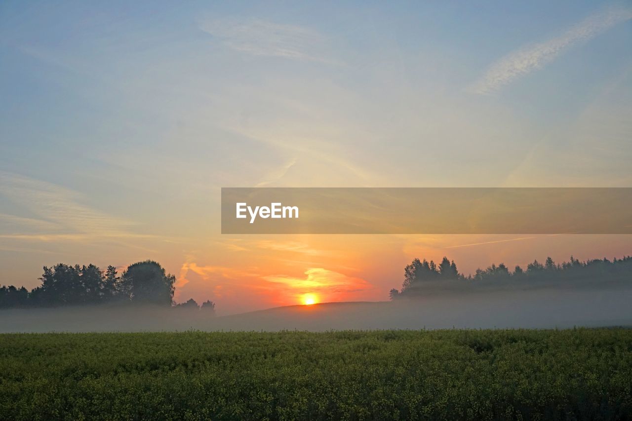 Scenic view of field against sky during sunset