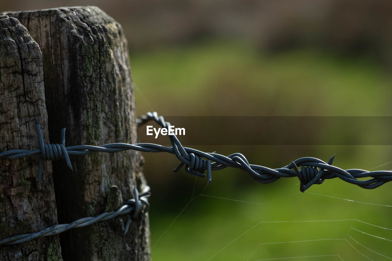 Close-up of barbed wire fence