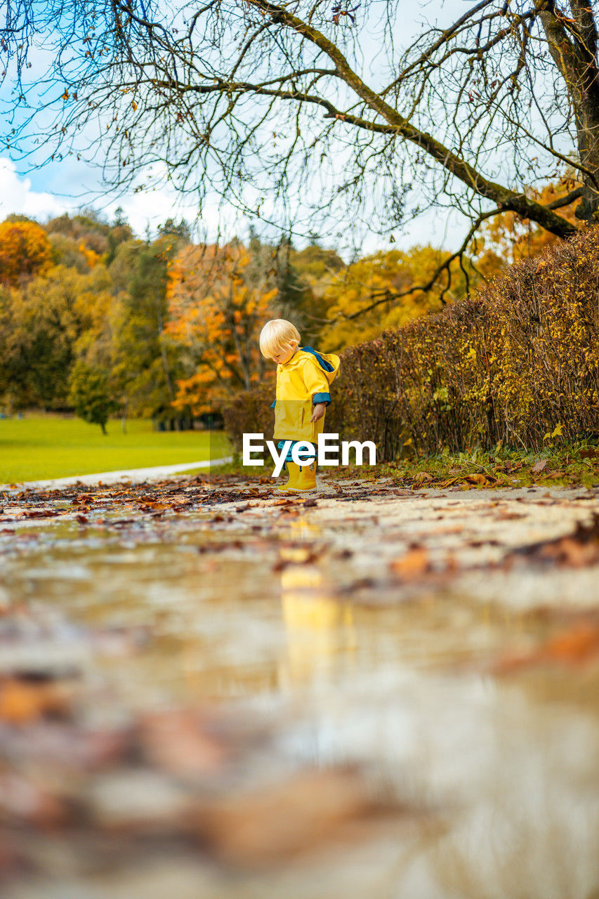 rear view of man walking on footpath