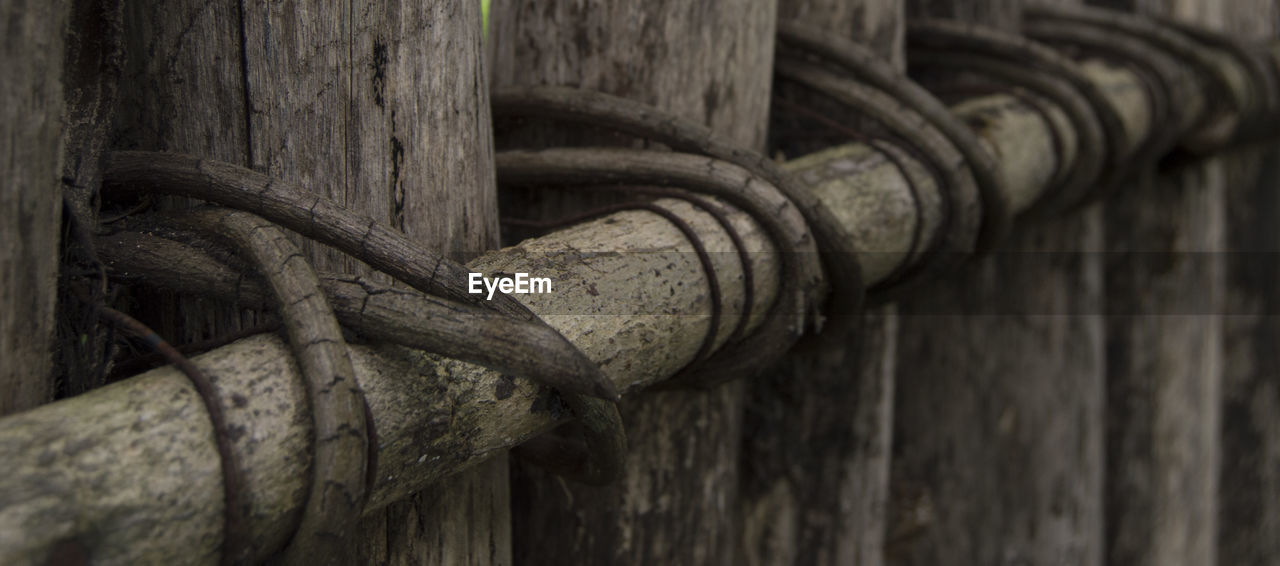 Close-up of wooden plank