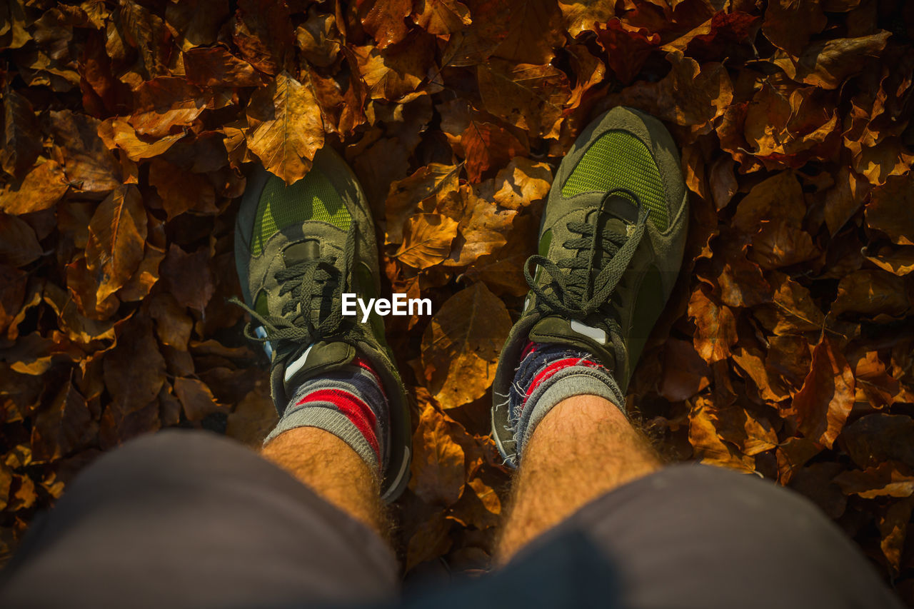 Low section of man standing on autumn leaves