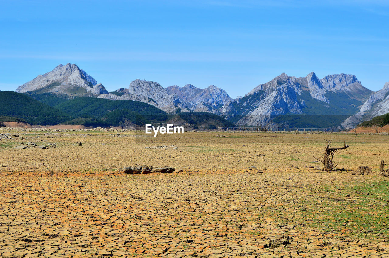 In the summer of 2017, a great drought emptied the swamps of northern spain. 