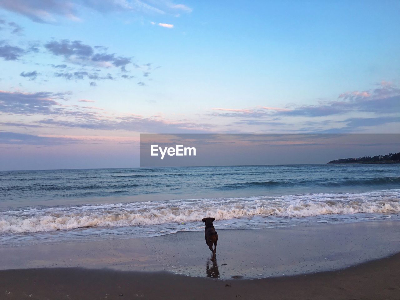 TOURISTS STANDING ON BEACH AGAINST SKY