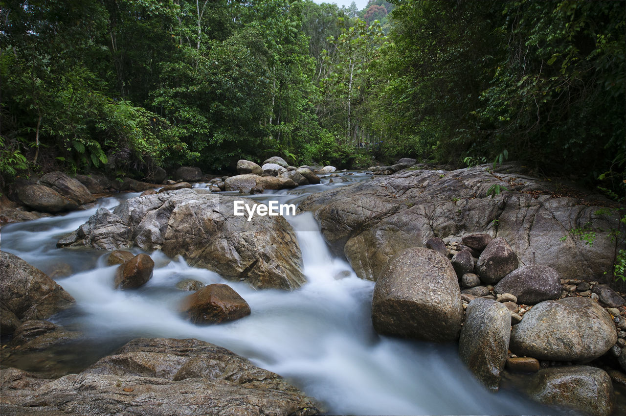 Stream flowing through rocks in forest