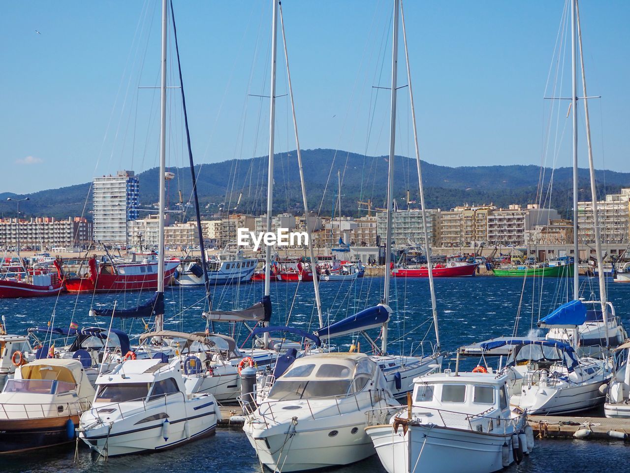 Sailboats moored at harbor against clear sky