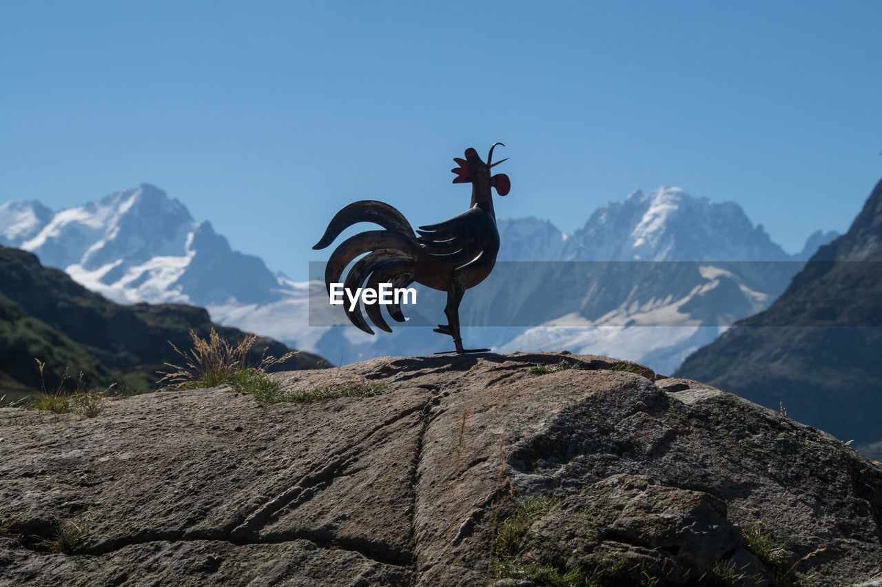 Metallic rooster sculpture on rock against mountain