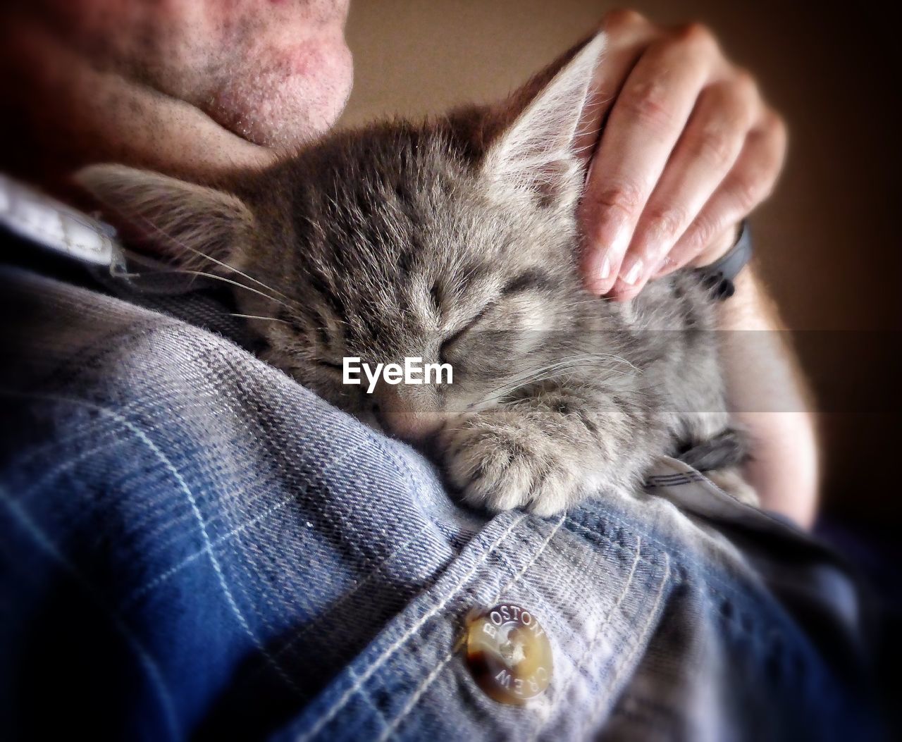 CLOSE-UP OF CAT SLEEPING ON COUCH