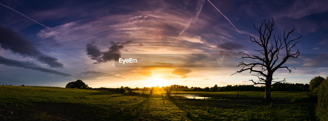 Scenic view of field against sky during sunset