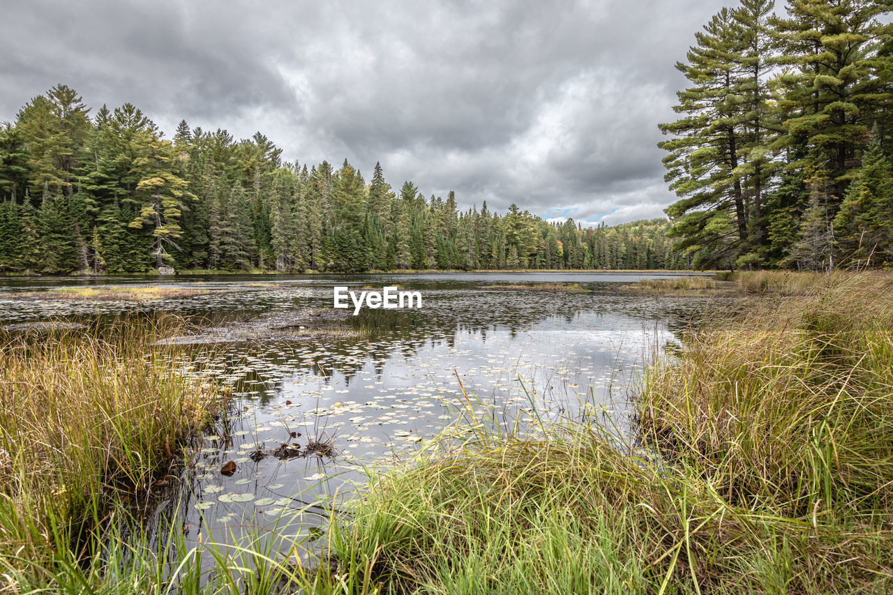 SCENIC VIEW OF LAKE