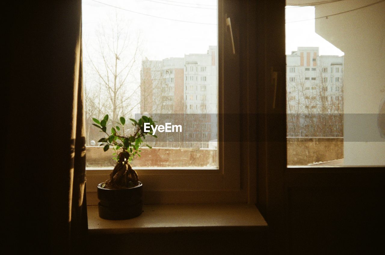 FLOWER VASE ON WINDOW SILL OF HOUSE