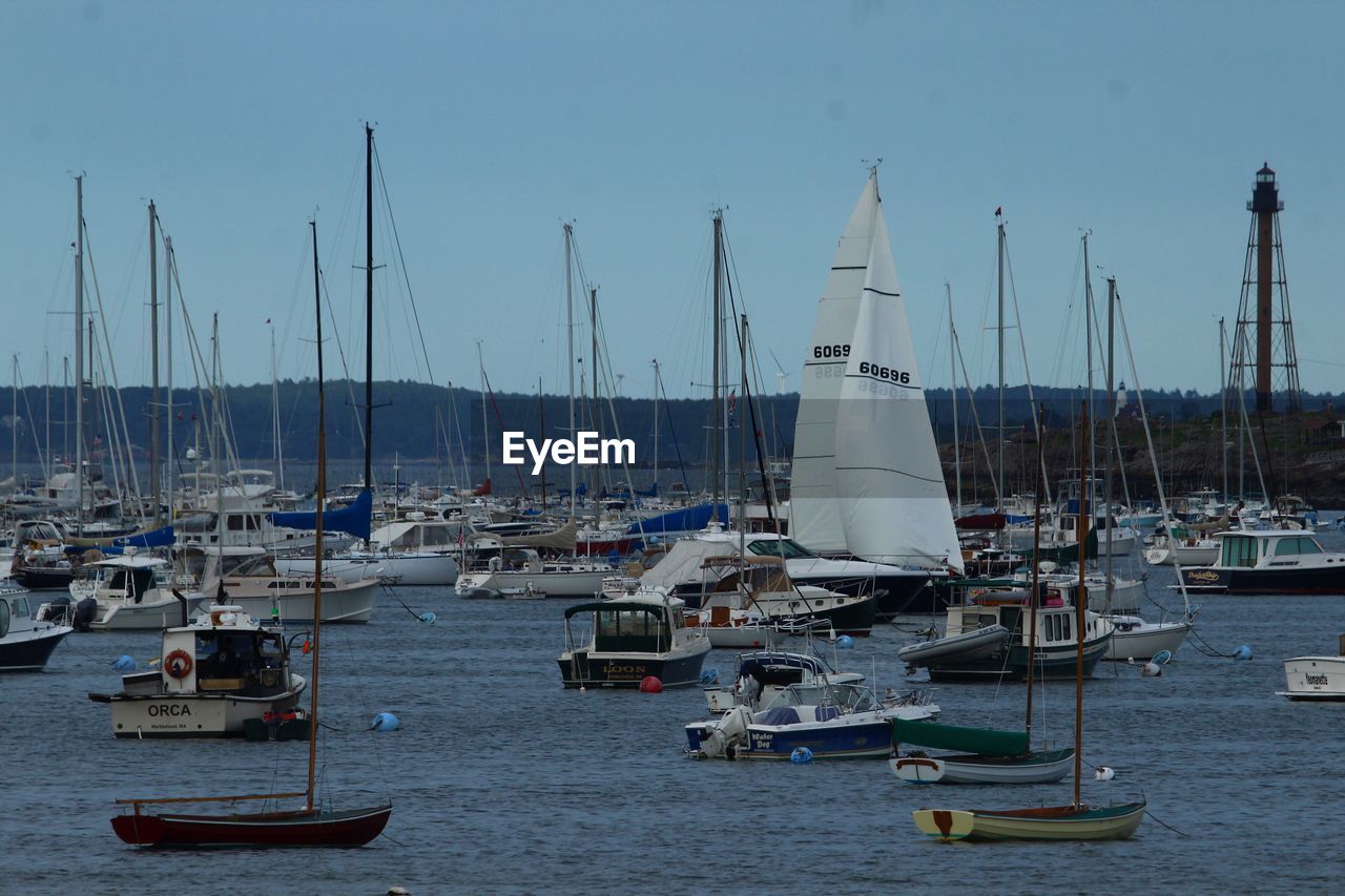 SAILBOATS MOORED ON SEA