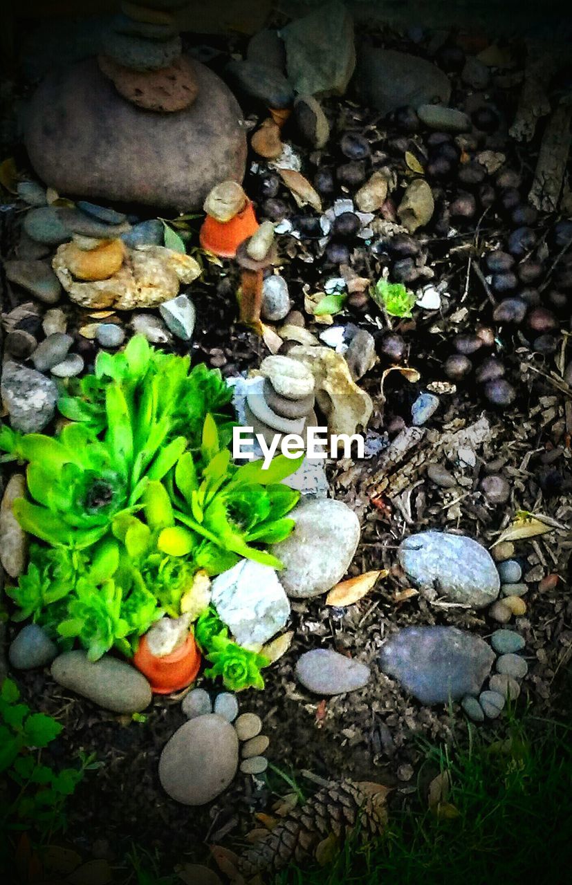 STONES ON PEBBLES