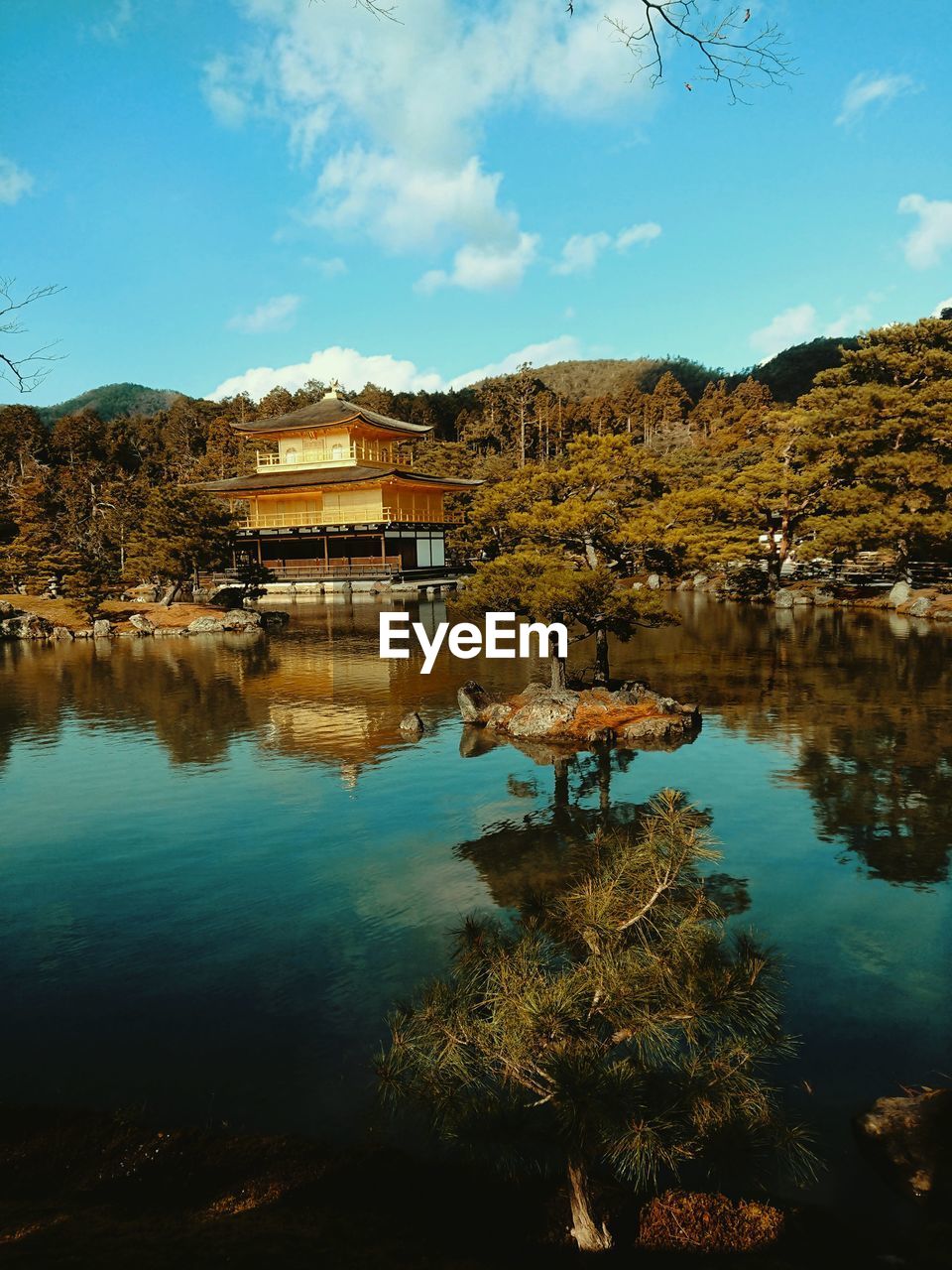 Scenic view of lake by trees against sky