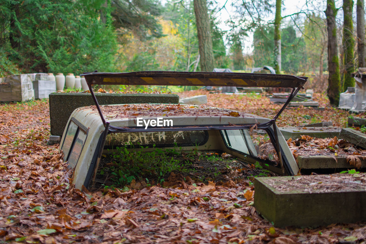 EMPTY BENCH IN PARK