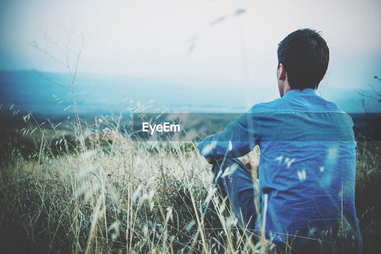 Rear view of man sitting on grassy field