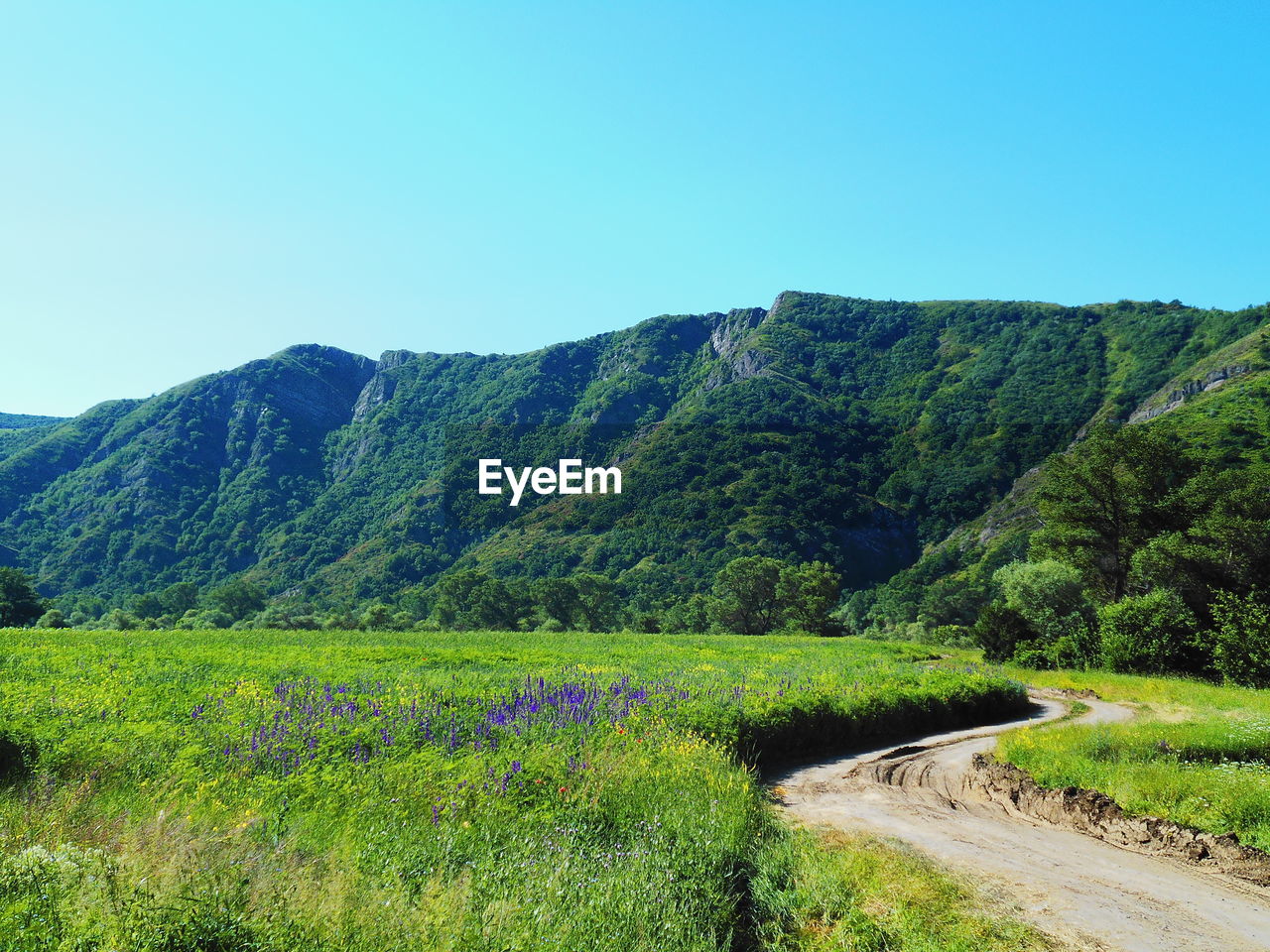 SCENIC VIEW OF MOUNTAINS AGAINST CLEAR SKY