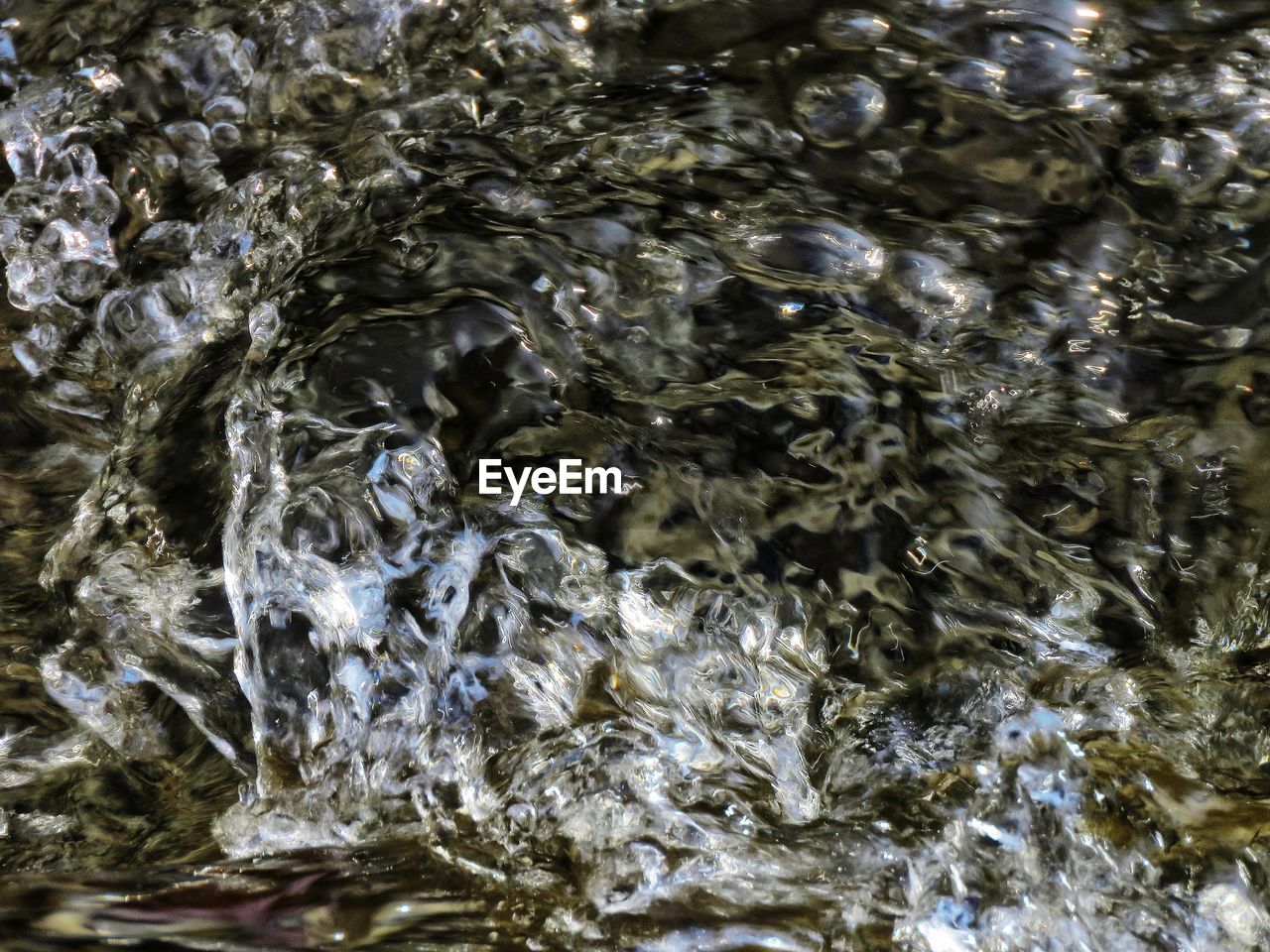 water, full frame, no people, backgrounds, rippled, nature, motion, waterfront, close-up, high angle view, algae, outdoors, day, rock, reflection, leaf, seaweed